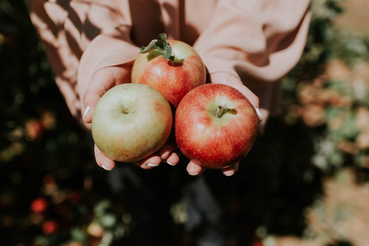 TIS THE SEASON FOR APPLE PICKING…AND SAUSAGES?